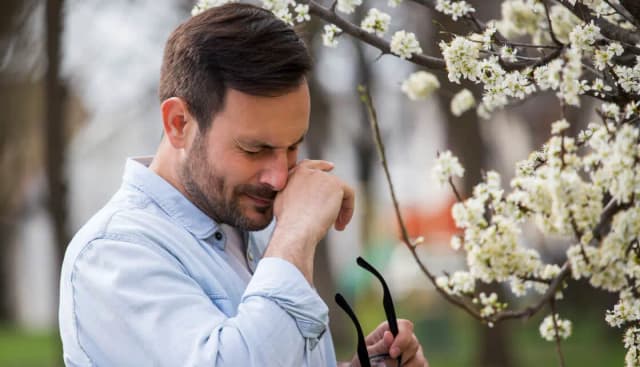 Аллерголог: «К 2050 году половина населения будет страдать аллергией»