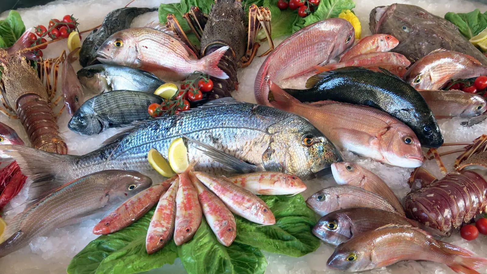 Галисия вводит "Рыбный бонус": стимул для покупки рыбы и сигнал потребителям