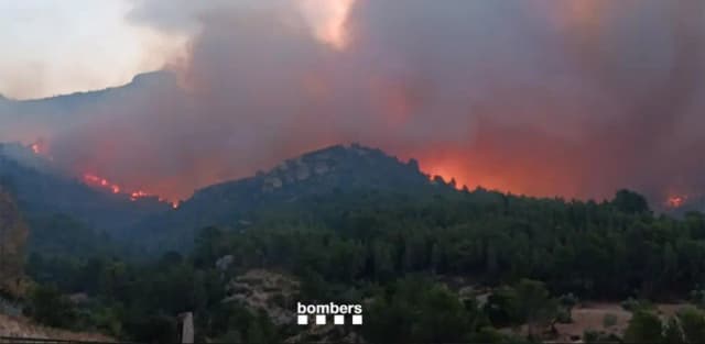 Лесной пожар в Паульсе привел к изоляции 18 000 человек и уничтожил более 3 100 гектаров