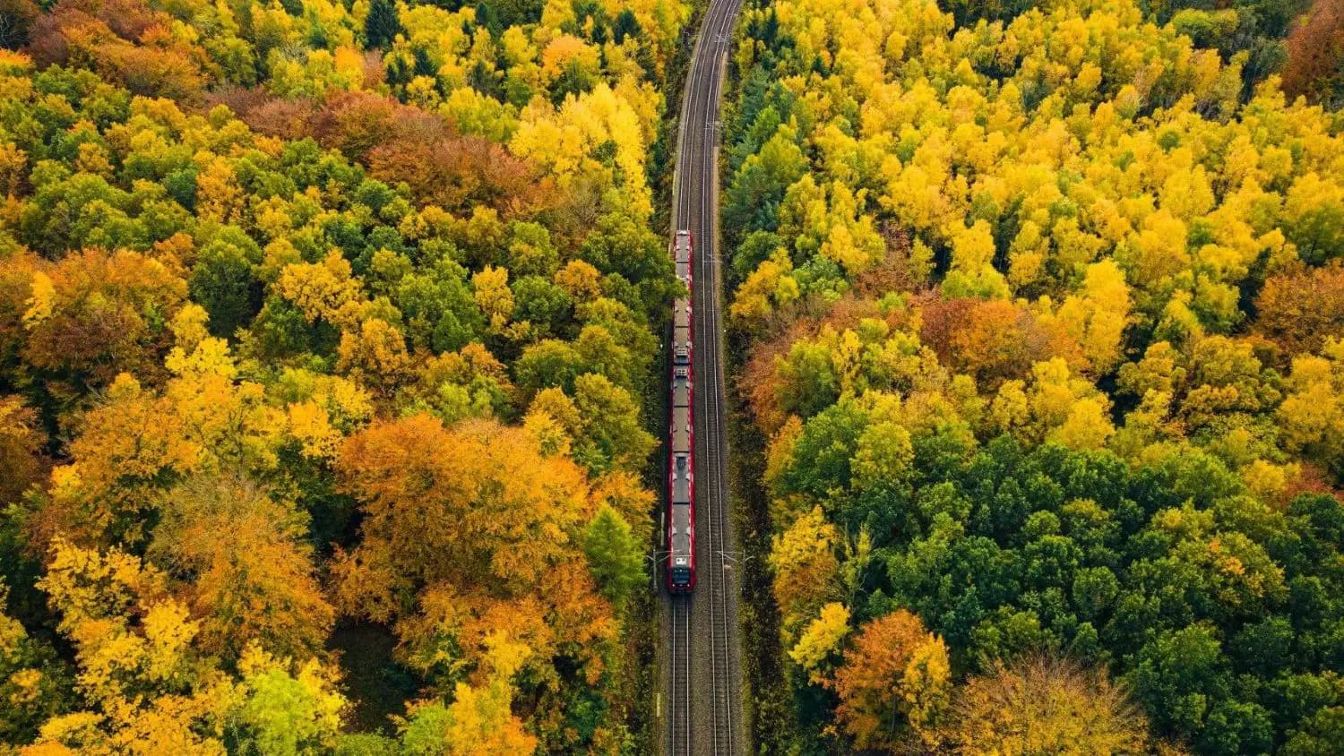 Путешествие во сне: европейский поезд, который обойдется дешевле отеля и самолета