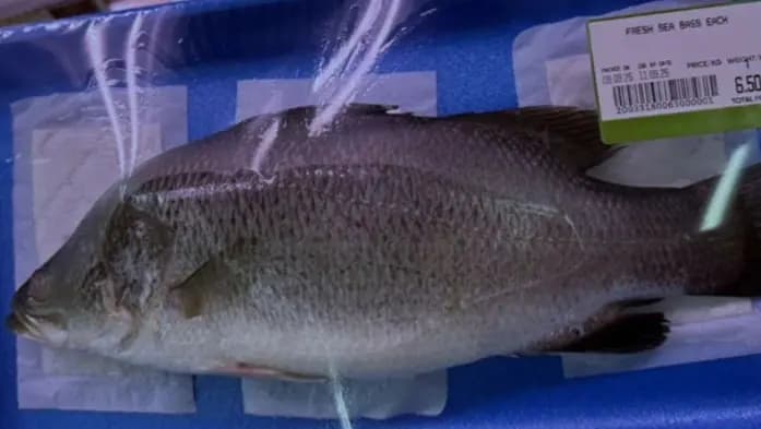 Море обмана: как азиатскую рыбу выдают за средиземноморского сибаса