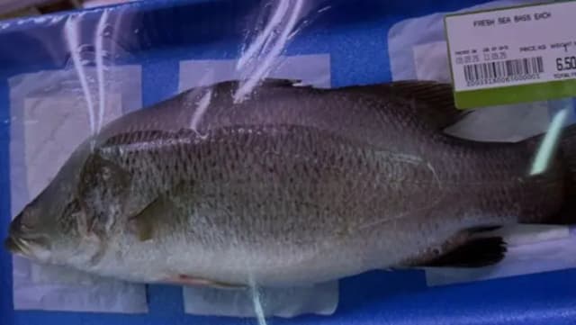 Море обмана: как азиатскую рыбу выдают за средиземноморского сибаса