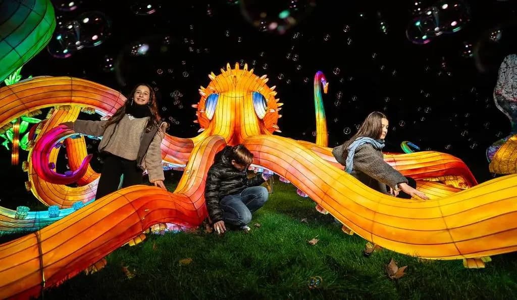 Самый большой световой зоопарк Мадрида открывается в Хетафе на Рождество