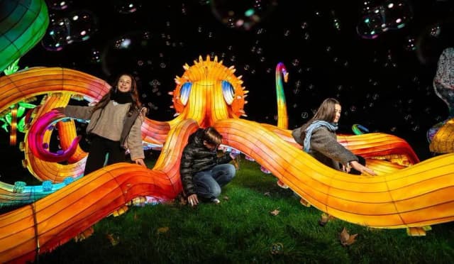 Самый большой световой зоопарк Мадрида открывается в Хетафе на Рождество