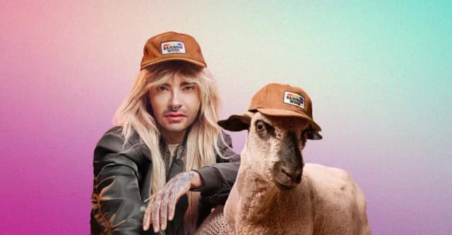 В тренде - геи-овцы