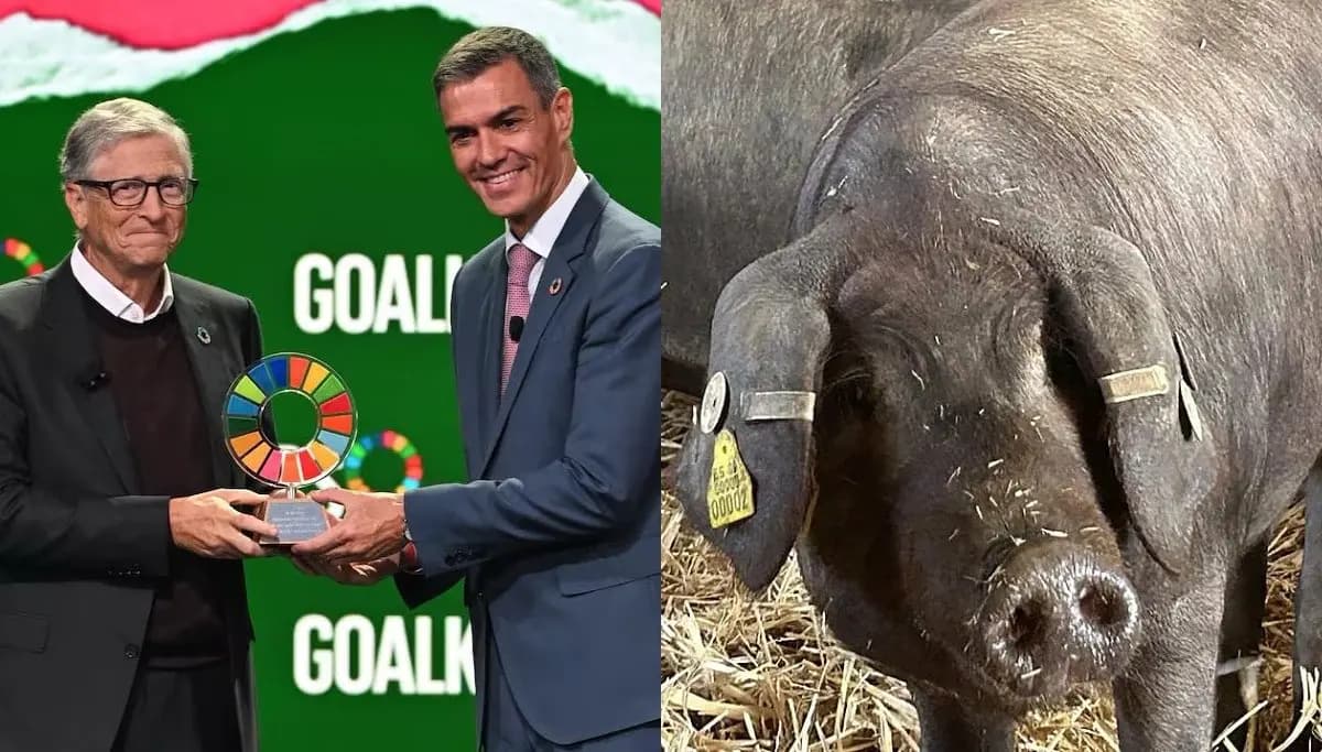 Испанский продовольственный апокалипсис: как три кризиса одновременно бьют по кошельку