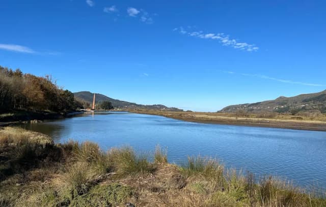 80% против: как общественное мнение похоронило амбициозный проект Guggenheim