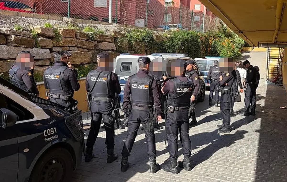 Курортный захват: как арендаторы превратили чужой отель в свой бизнес