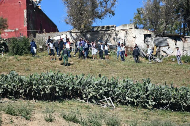 Новая вспышка насилия в Торре-Пачеко: похищение с применением мачете