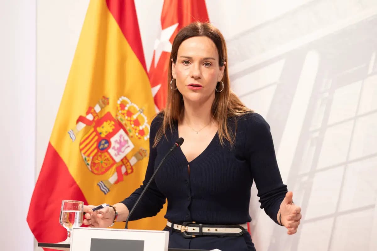 Рост преступности в Мадриде: VOX требует статистику по национальности