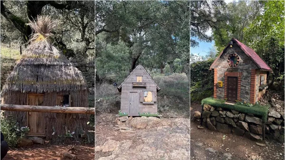 Соломенный, деревянный и каменный: в Хабуго поселились три поросёнка