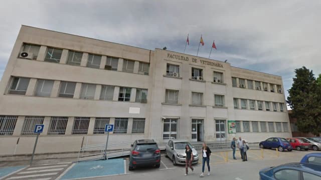 «Вампир из Уманеса» исчез из университета после публикации в прессе