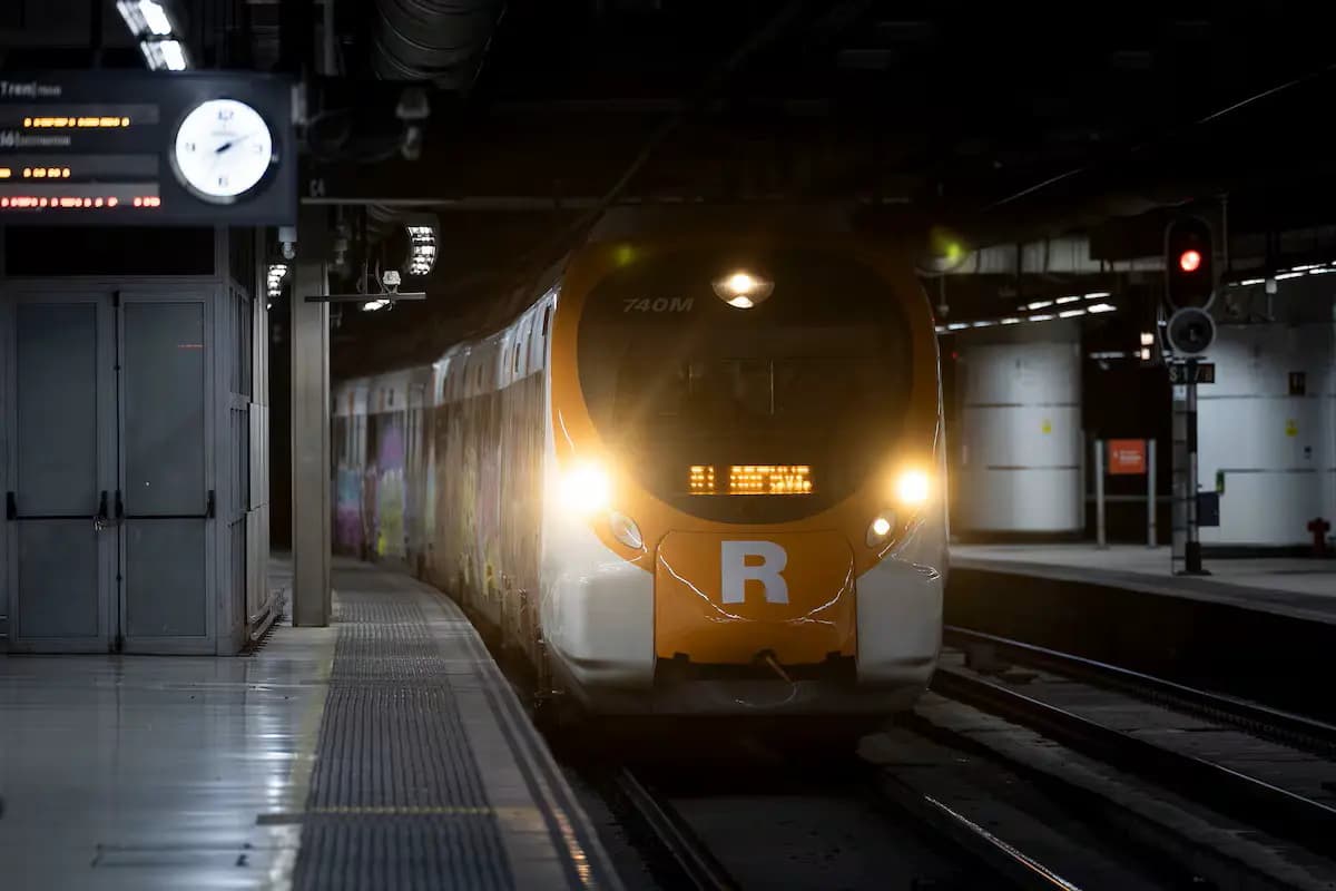 Поезд в Жироне протаранил упавшее дерево, 150 пассажиров эвакуированы