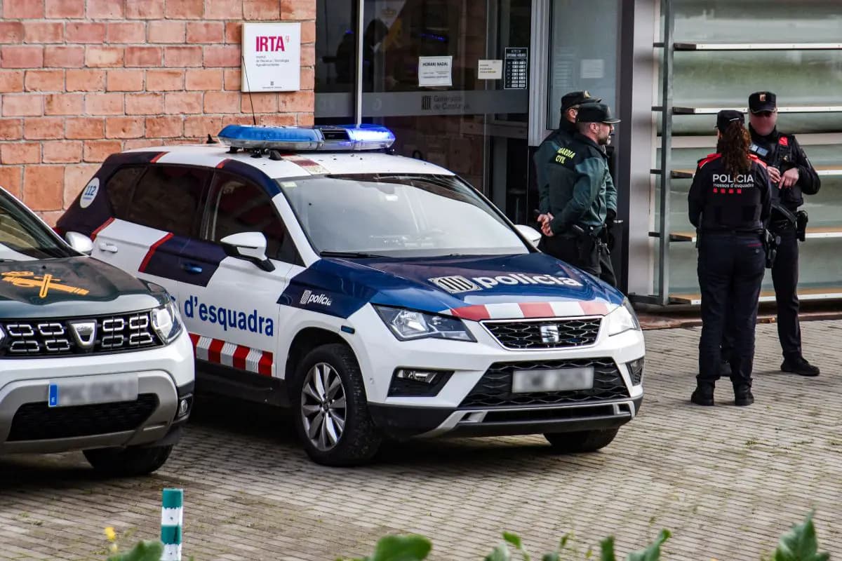 Алжирец с катаной наводил ужас на жителей Льорет-де-Мар