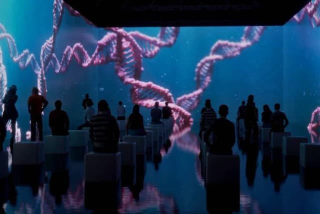 Мировая премьера в Мадриде: выставка «Human Universe» открыла двери внутрь человеческого тела