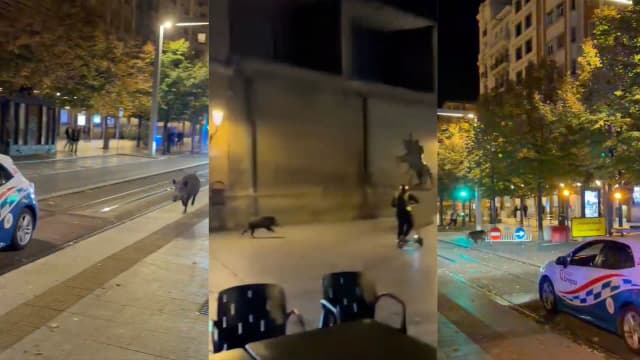 Ночной кабан в Сарагосе: женщина пострадала во время Фиестас-дель-Пилар